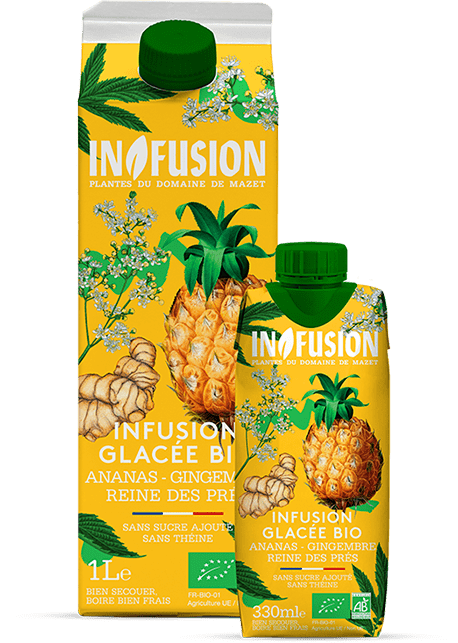 Infusion - Infustion glacée ananas gingembre et reine des pres