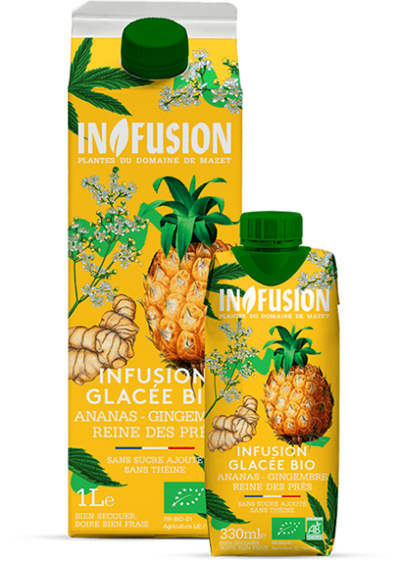 Infusion - Infustion glacée ananas gingembre et reine des pres
